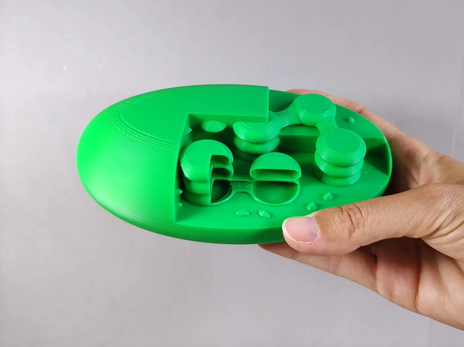 Modelo Didáctico de Cloroplasto