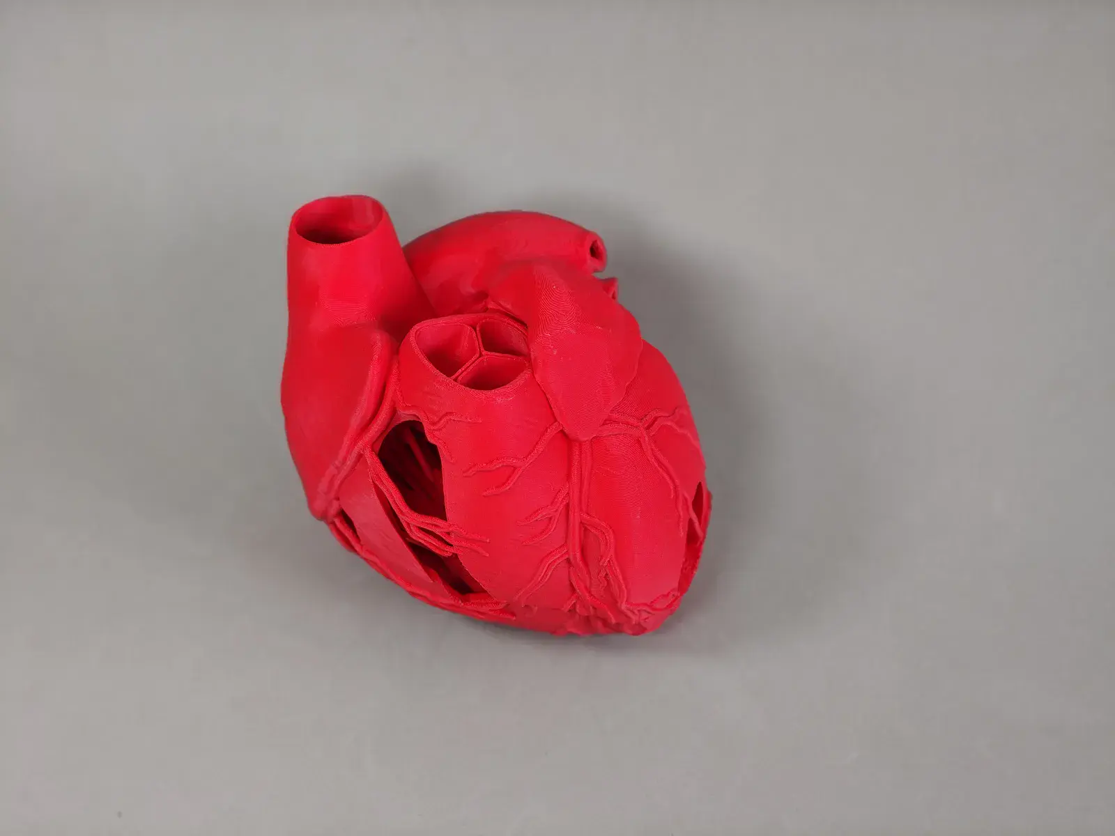 U productos basicos corazon humano 2