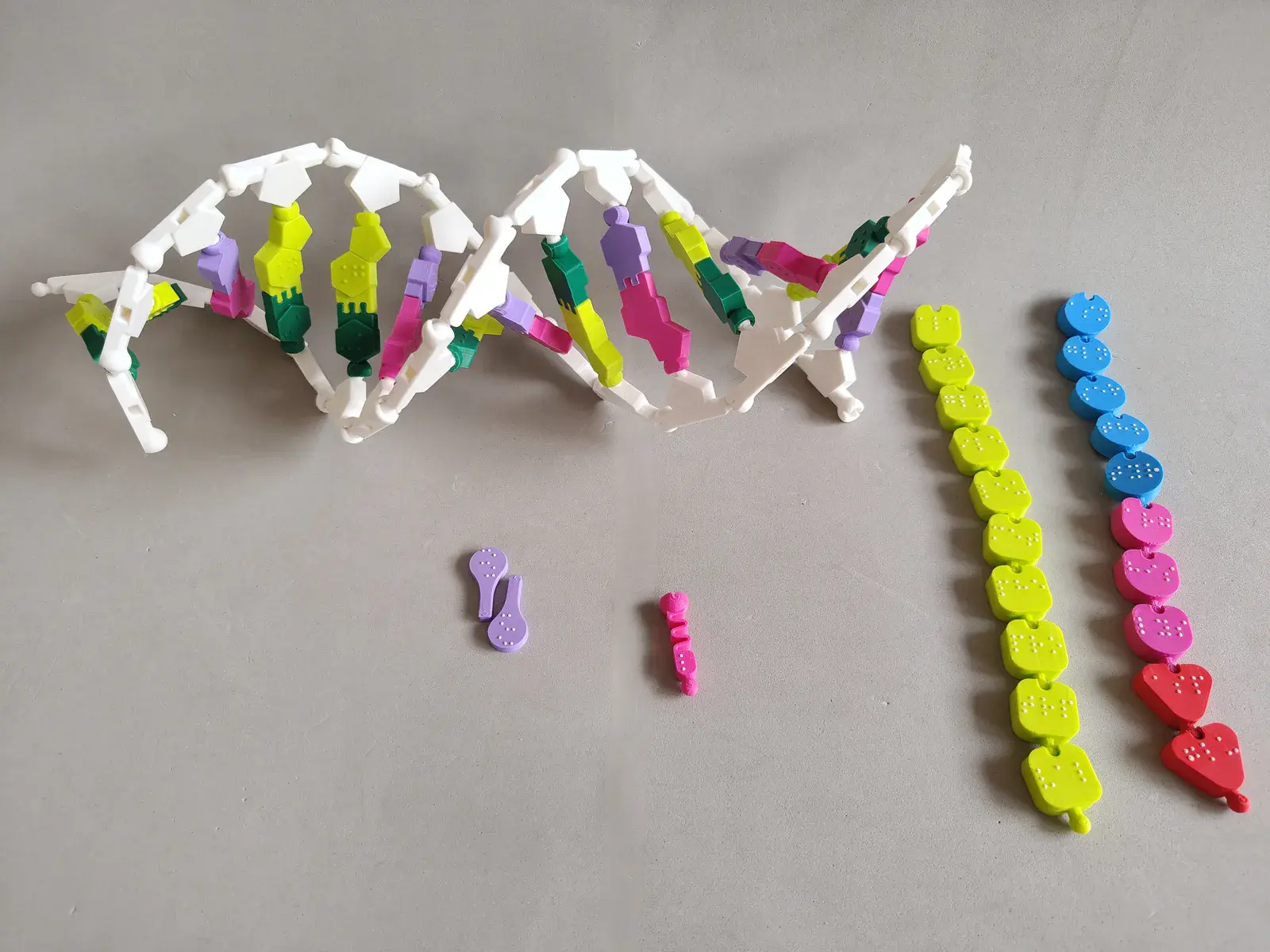Doble Hélice de ADN con Enzimas Adaptada a Braille