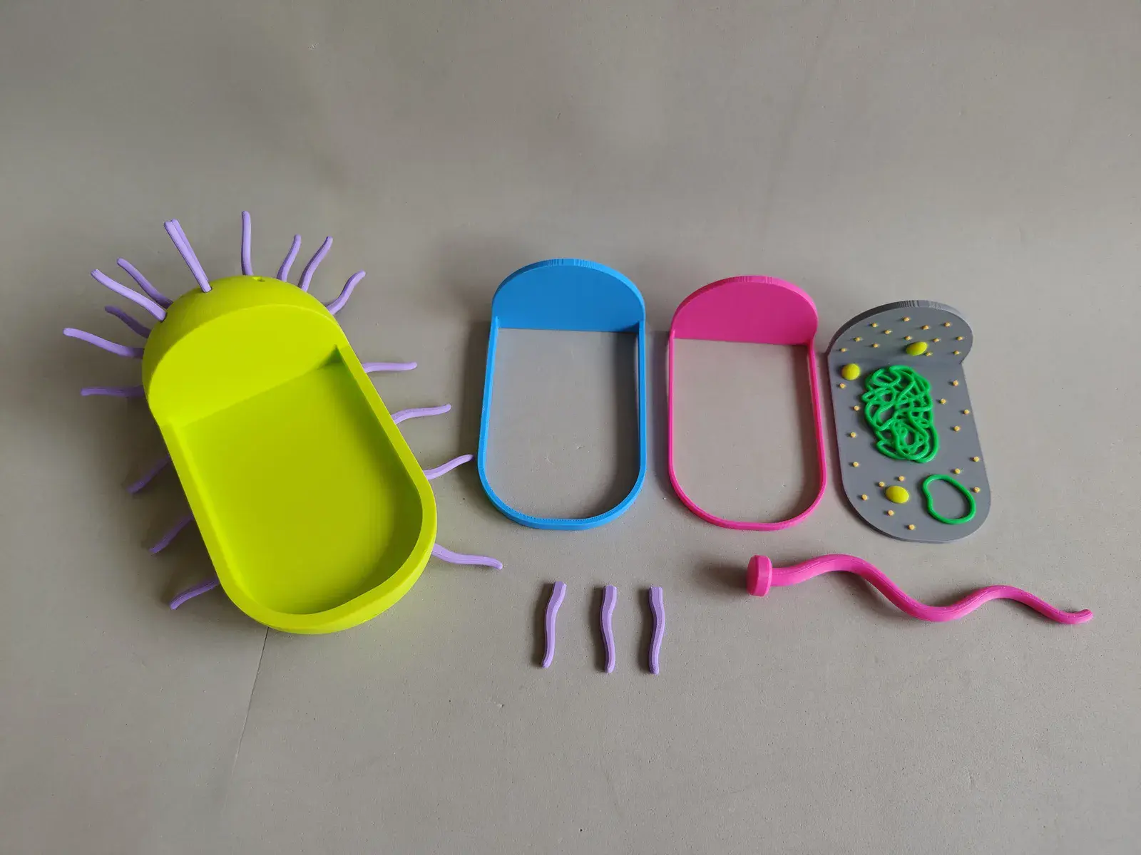 U productos montessori trilogia celular 3